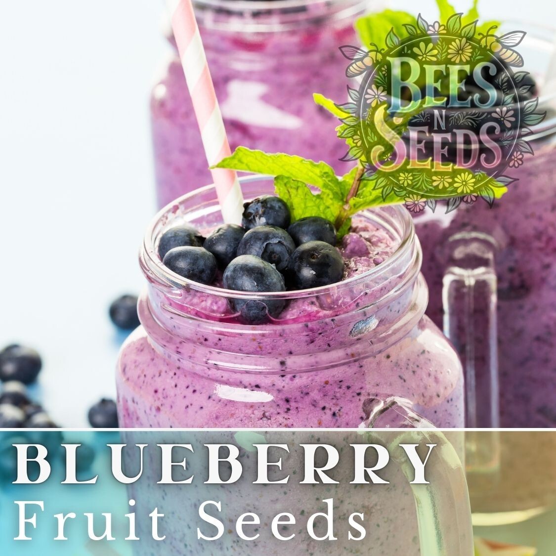 Blueberry Seeds 200, 750 or 3,200 Seeds Fruit Seeds, Non GMO, Bulk Seeds, Berry
