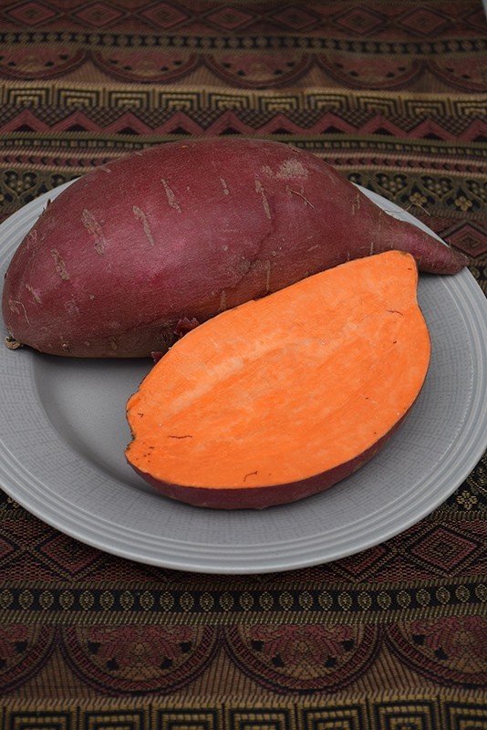 White Hannah x Red Garnet Yam Rooted Slips Premium Rare Variety Pack – 10 Total