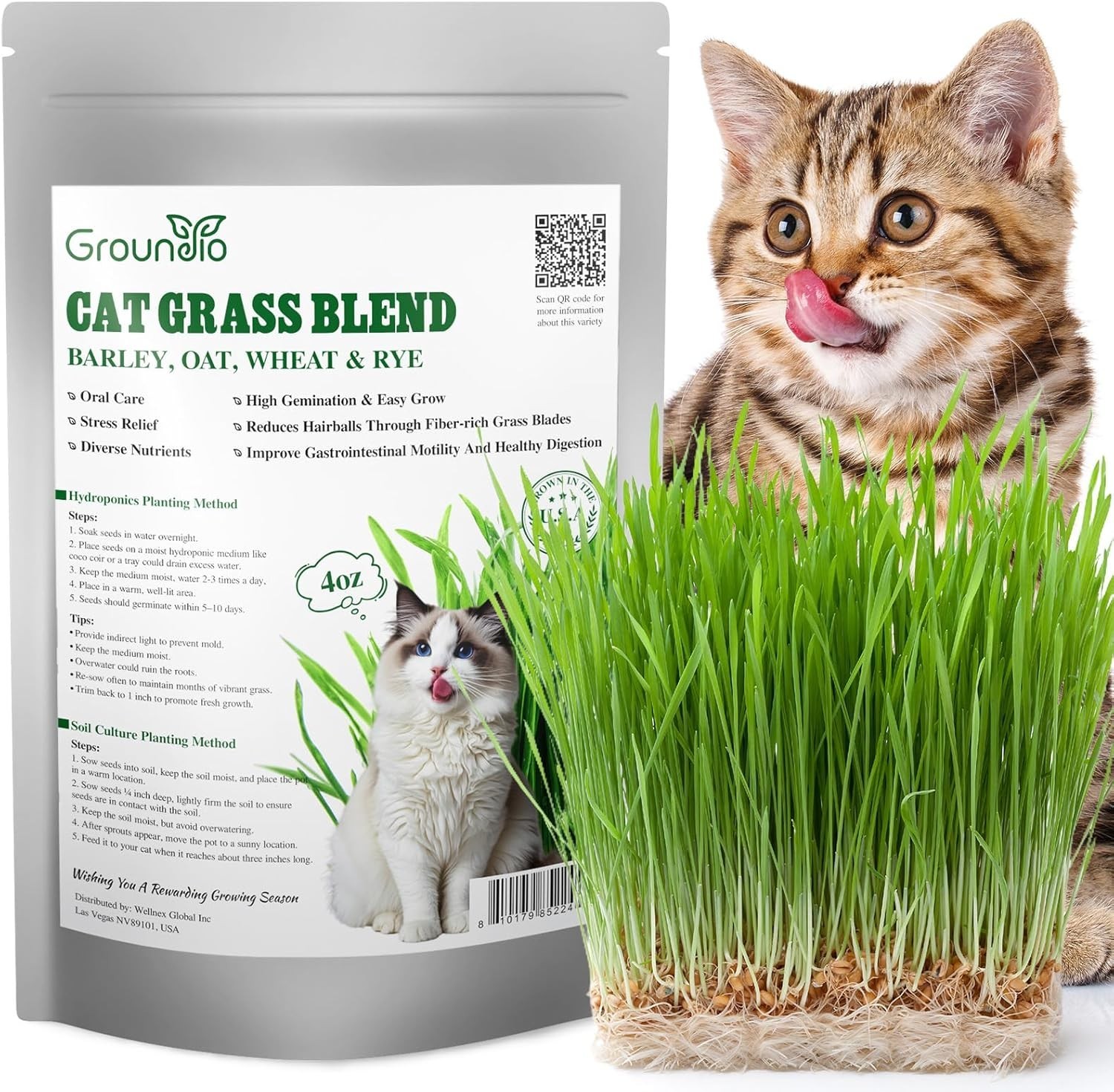 4 Ounce Indoor Cat Grass Seeds – Barley, Oats, Wheat & Rye Mix for Active Cats