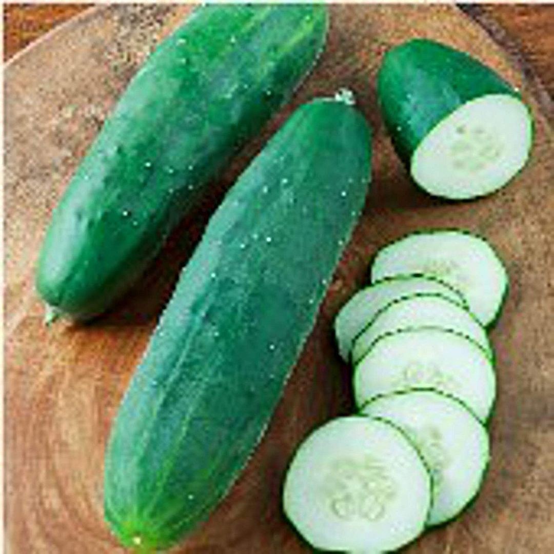 Straight Nine Cucumbers Seeds (25 Seed Packet) (More Heirloom, Organic, Non GMO,