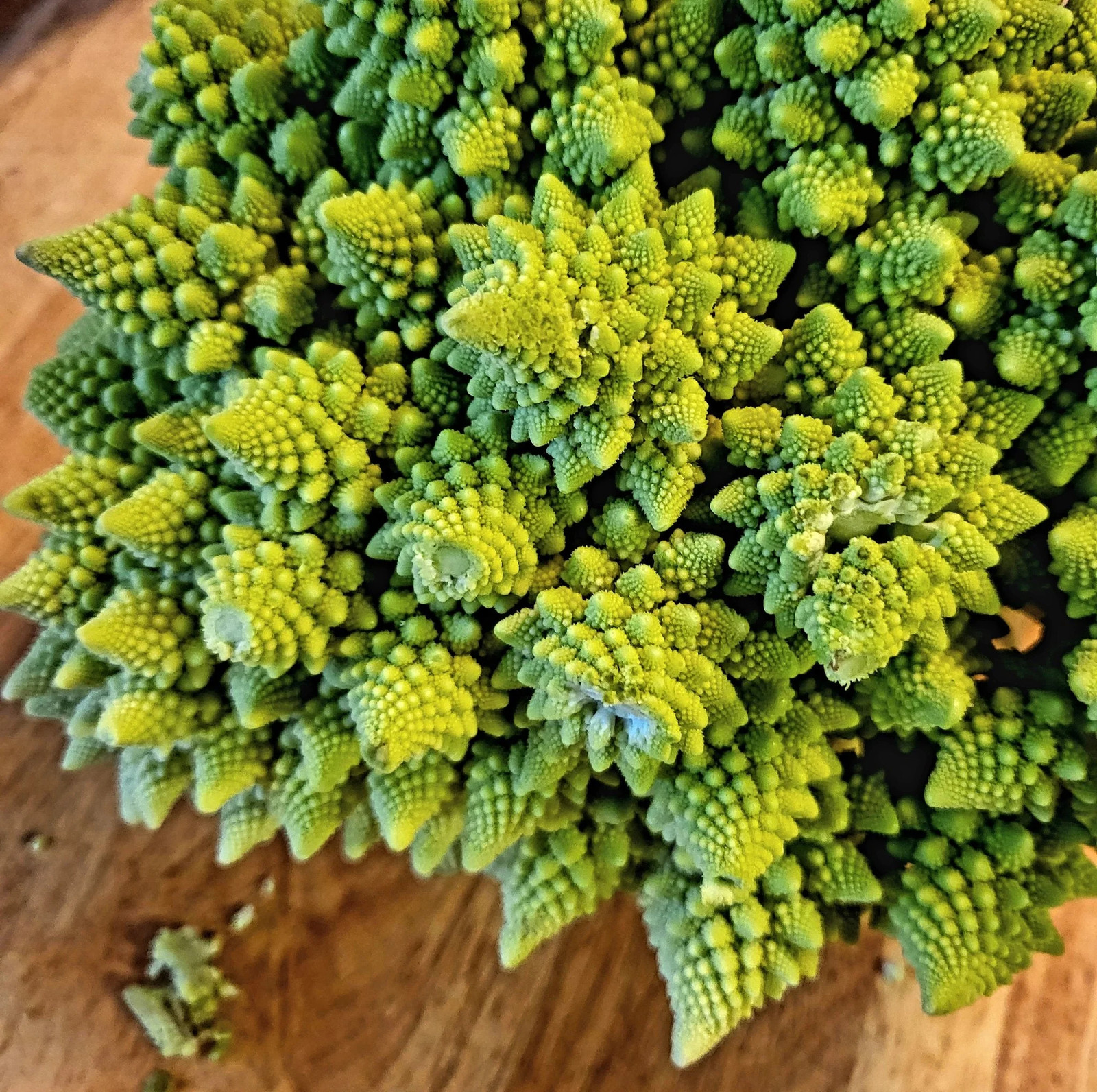 Romanesco Cauliflower Seeds | Brassica Green Italian Roman Broccoli Seeds 2024