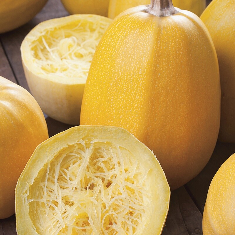 Yellow Spaghetti Squash Seeds | Vegetable Fall Winter Garden Pumpkin Seed 2024