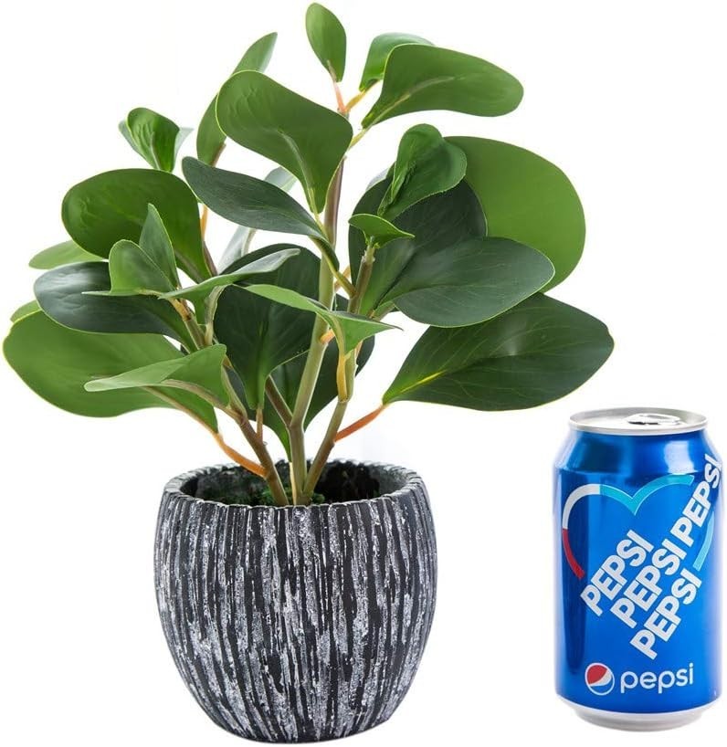 Evergreen Plastic Fiddle Leaf Fig Plant for Aesthetic Room Decor and Accessories