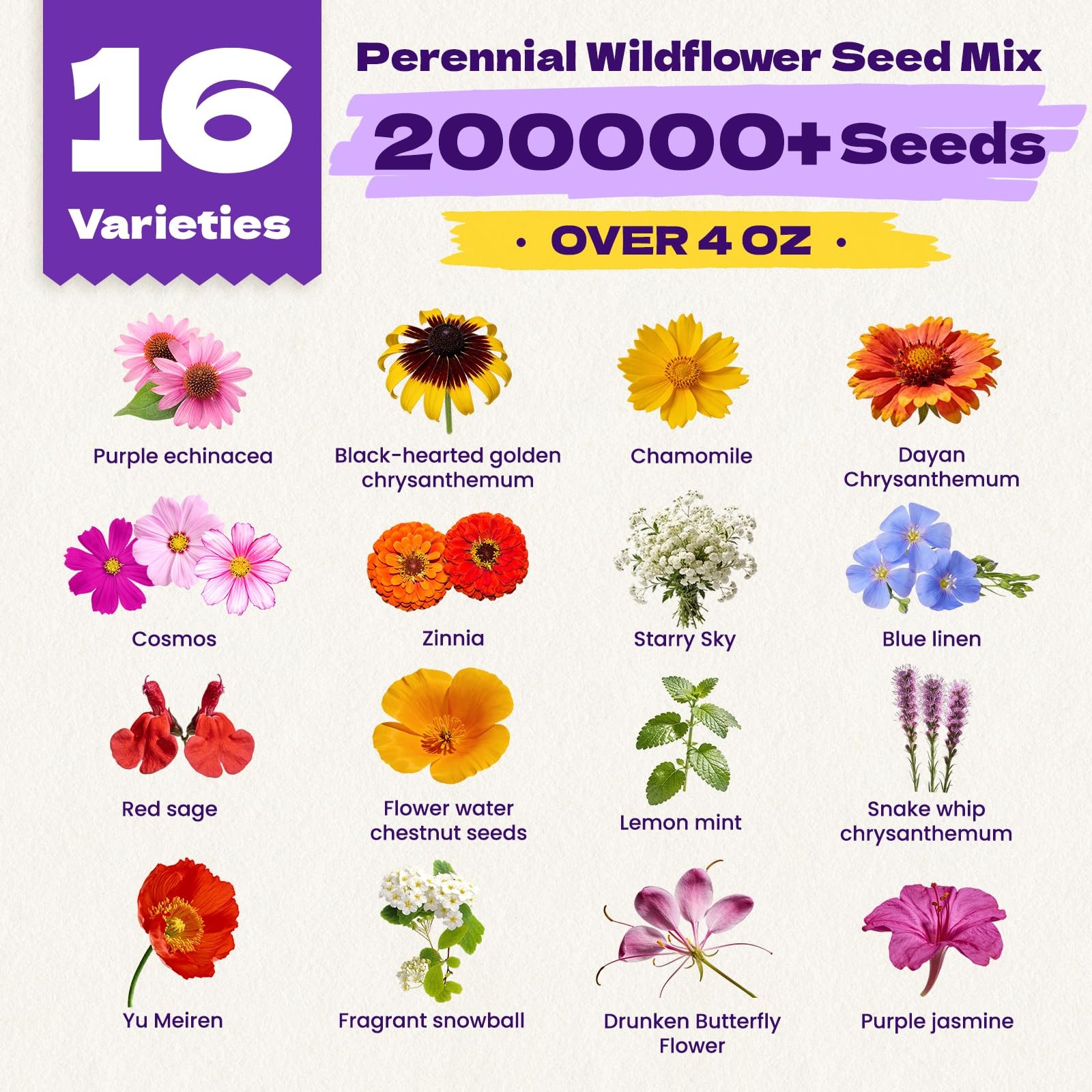 200,000+ Wildflower Seeds Bulk 4oz – 16 Varieties Perennial & Annual Mix, Att…