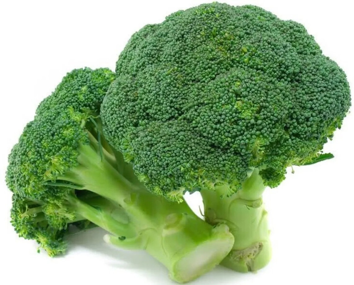 100+ BROCCOLI SEEDS – WALTHAM 29 — HEIRLOOM – ORGANIC – NON GMO —– FRESH