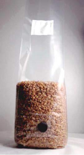 1,4,6,10 1.1LB Sterilized Mushroom Spawn Bags W/ Injection Port