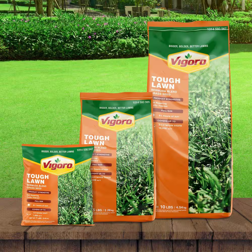 10 Lbs. Bermuda Blend Grass Seed
