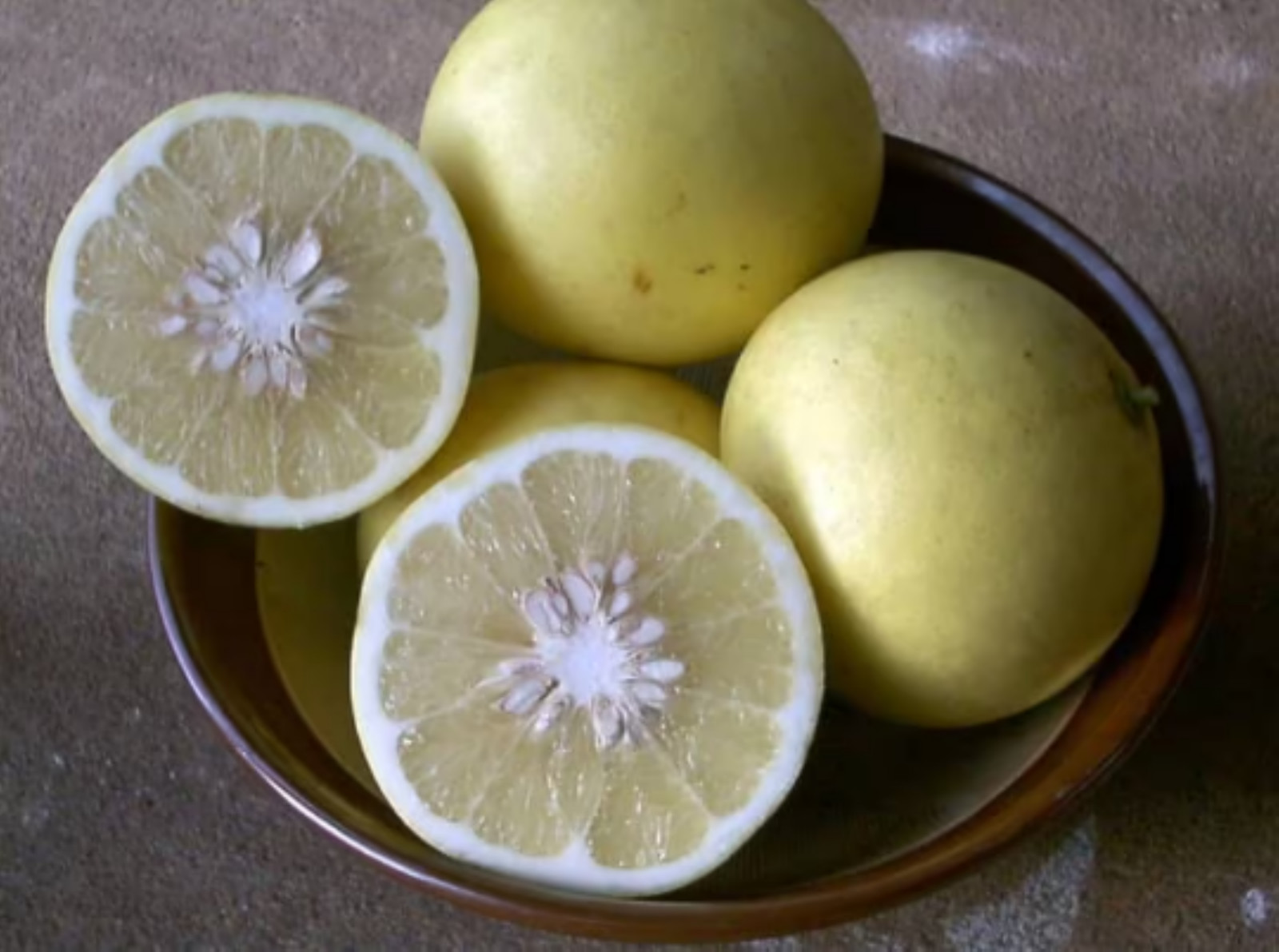 Florida only! Duncan Grapefruit Tree, 1 gallon tree, grafted 26-30″ tall
