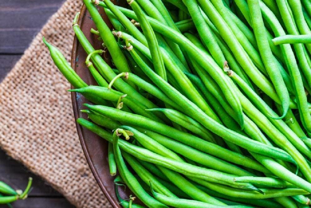 Bean Provider Bush Bean Seeds ,COOL BEANS N SPROUTS” Brand. Home Gardening.