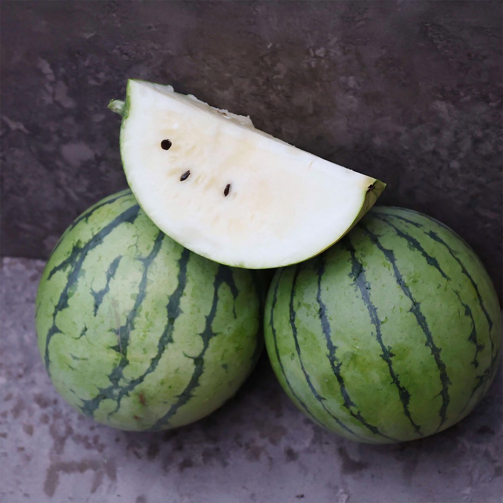 Cream Of Saskatchewan Watermelon Seeds | 8 – 12 LBS | Free Shipping | 1048