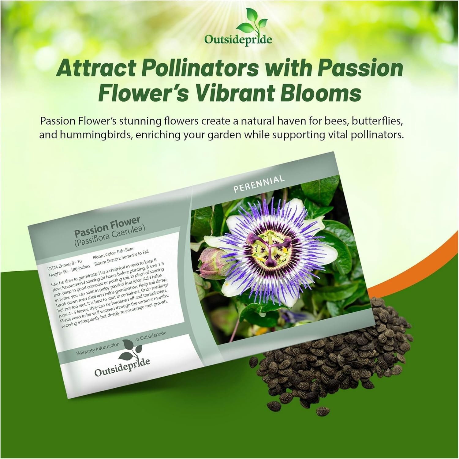 100 Seeds Passion Flower Seeds – Passiflora Caerulea Flower Seed