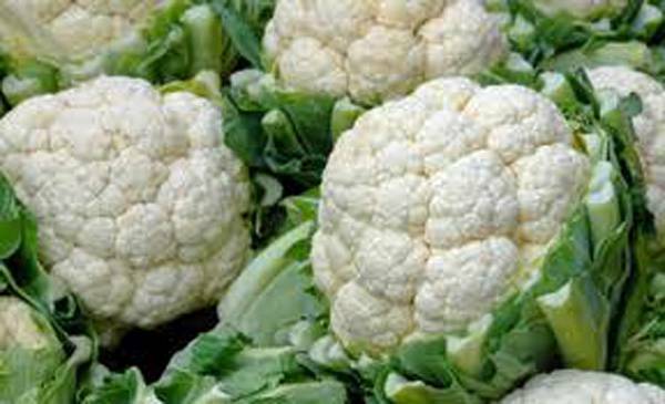 CAULIFLOWER SEED, SNOWBALL Y, HEIRLOOM NON GMO, 50 SEEDS, CALIFLOWER