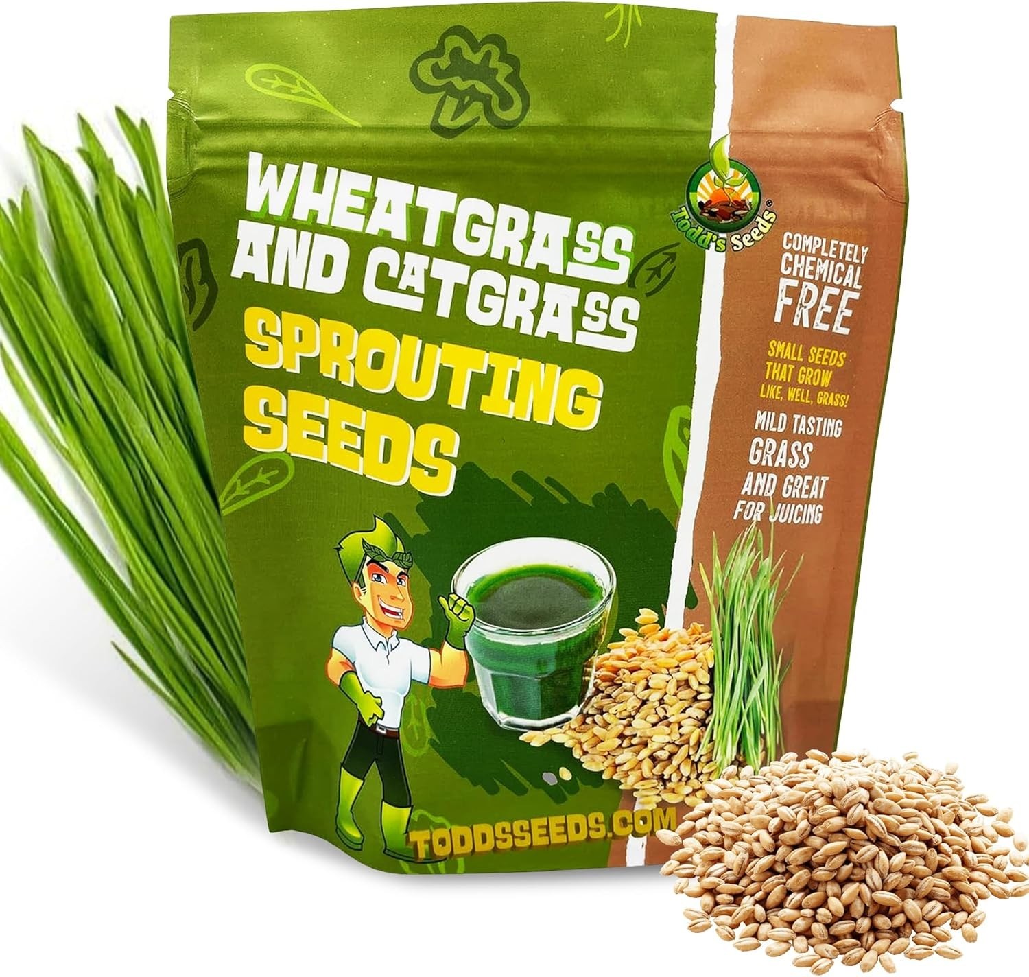 High Germination Hard Red Winter Wheat Seeds – Safe, Organic & Easy Grow, 1/4 lb