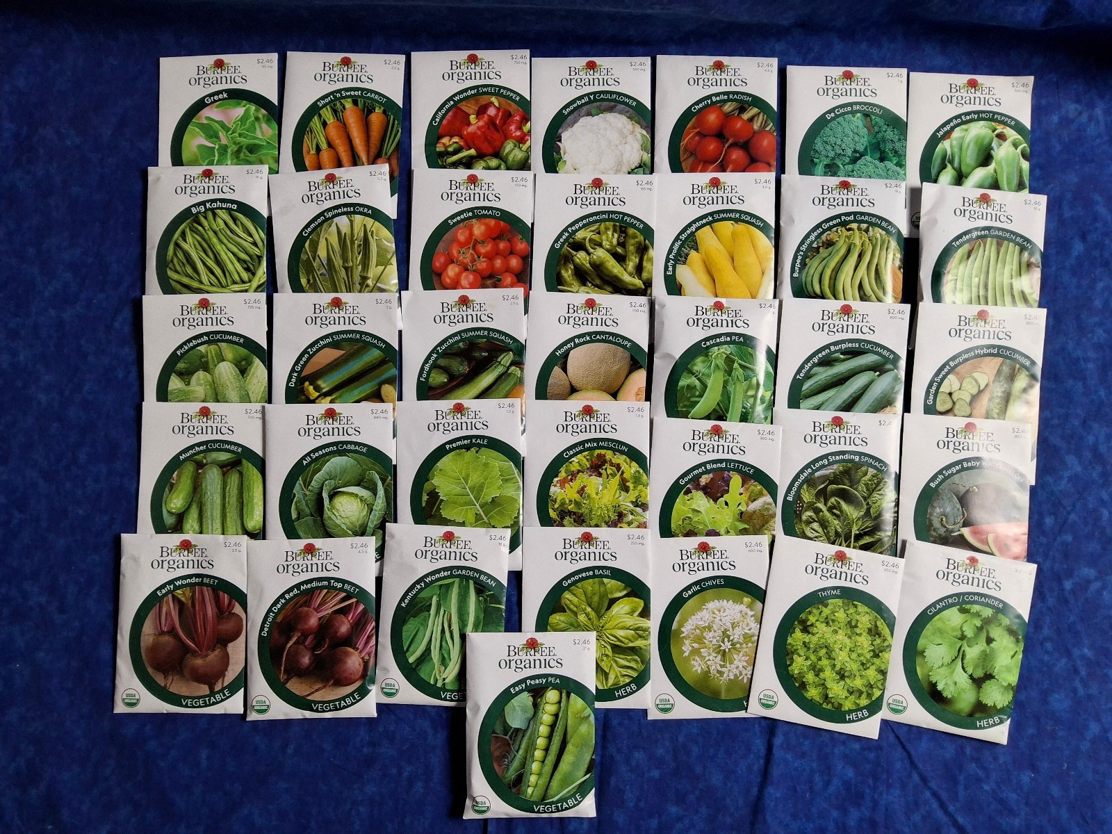 Mixed Lot of 36 Burpee Veg Herb Fruite Organic Seeds 2025 – LOT SG
