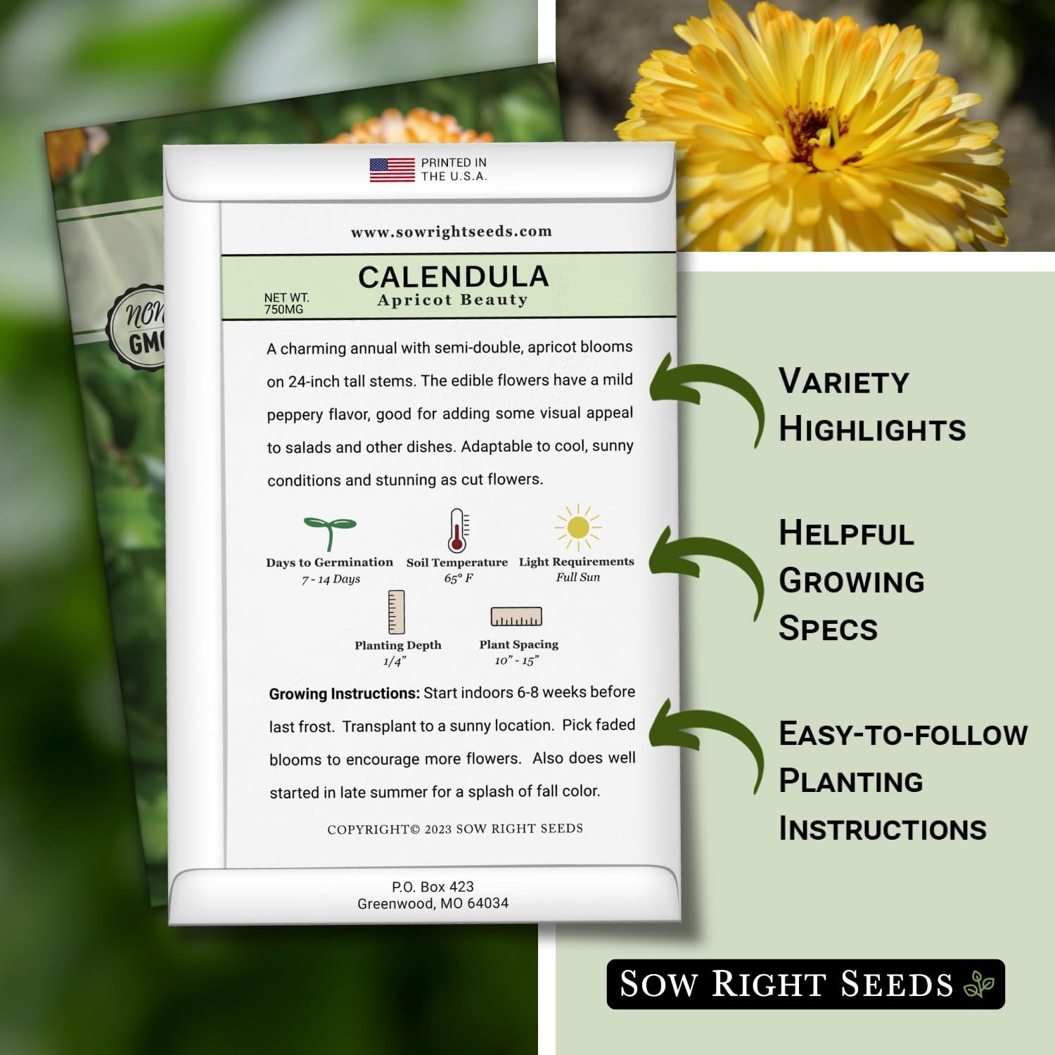 Sow Right Seeds – Apricot Beauty Calendula for Planting – 1, orange