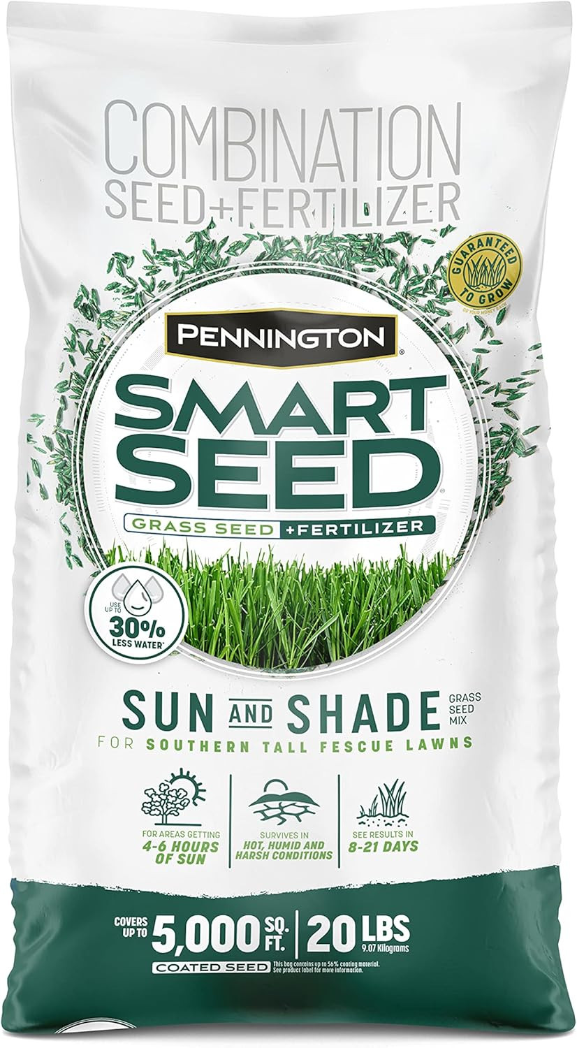Semillas cesped festuca alta mezcla sol sombra bolsa 20lb crecimiento resistente