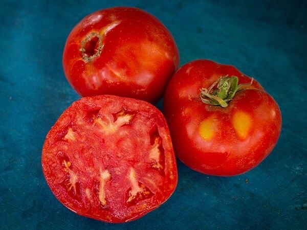 WOOD’S FAMOUS BRIMMER TOMATO – ORGANIC – HEIRLOOM – 20 SEEDS