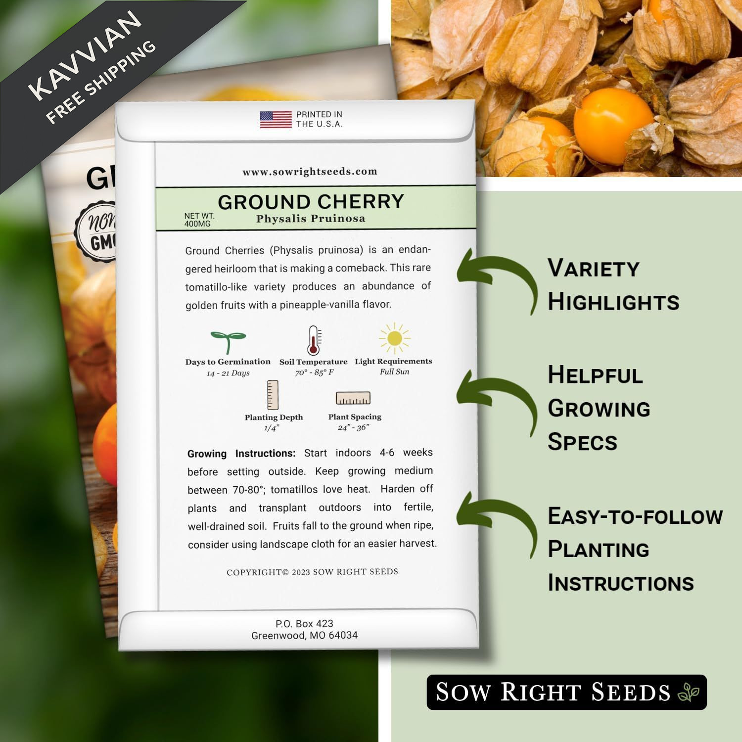 Sow Right Seeds – Ground Cherries for Planting – Non-GMO 1, Orange