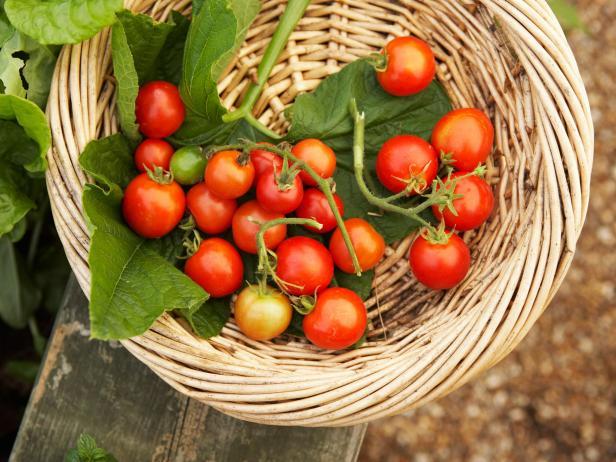 Red Cherry tomato seeds non-gmo heirloom open pollinated DELICIOUS PRODUCTIVE