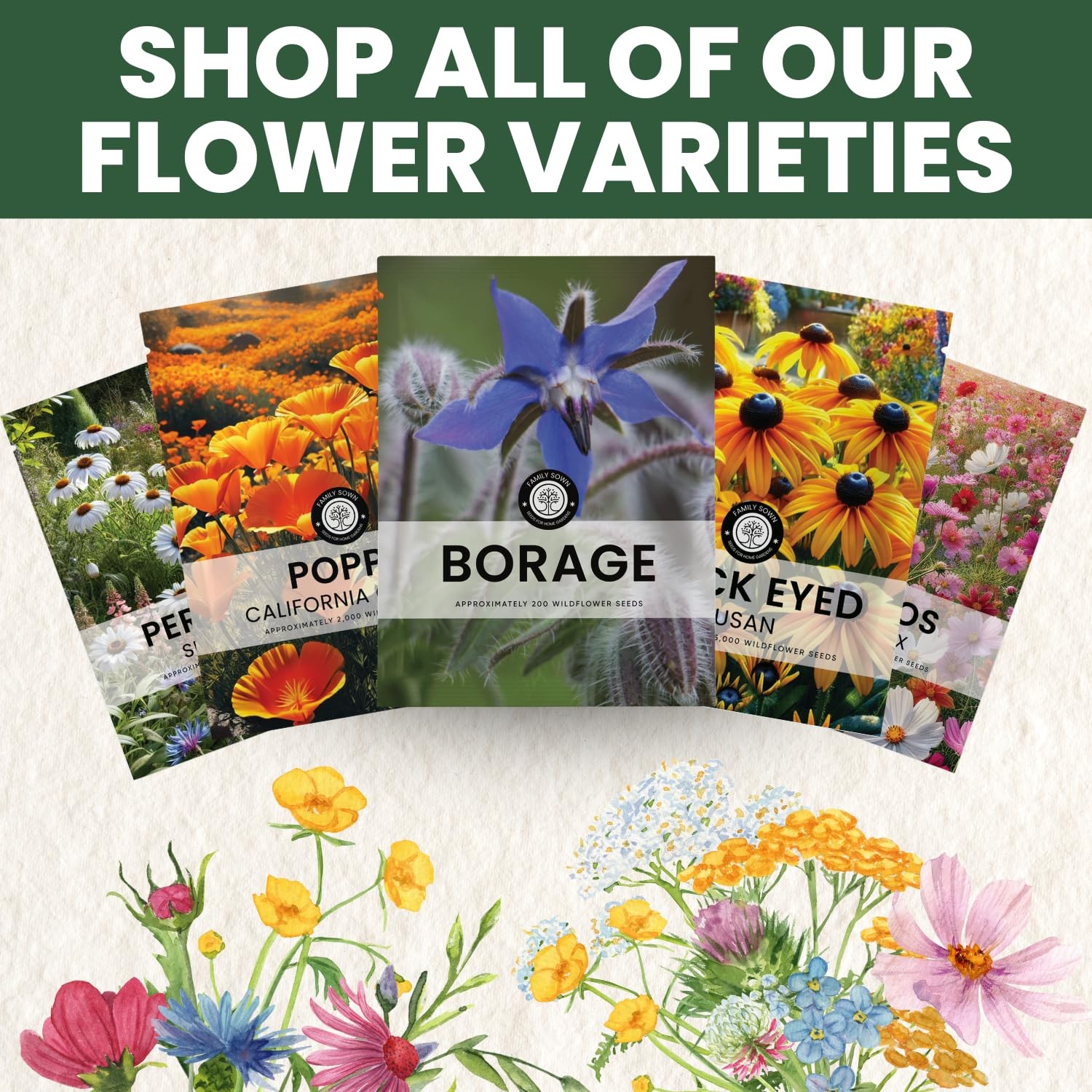 Borage Seeds 4,000 Count for Planting 2026 Season 4 Ounce Pouch