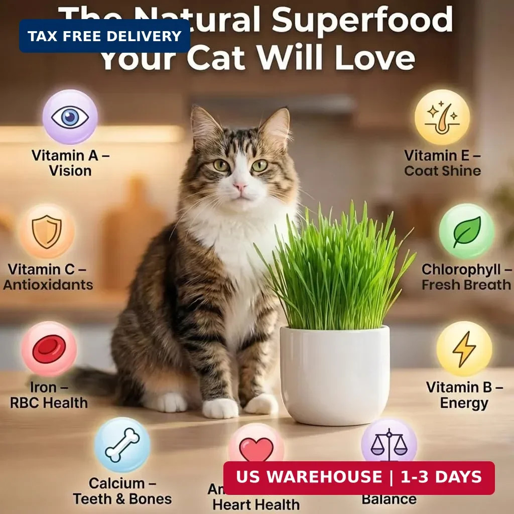 NatureZ Edge Premium Cat Grass Seeds for Indoor Cats, Non GMO – 1 lb Oat & Barle