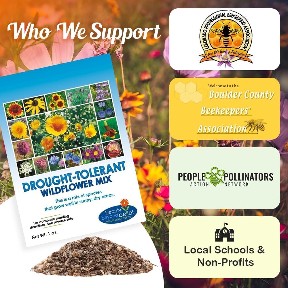 1oz Drought Resistant Wildflower Seeds – Perfect for Pollinator-Friendly Gardens