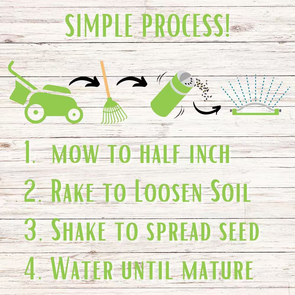 Micro Clover Alternative Grass Seed,Easy Spread,Eco-Friendly,Regenerative,Kid &