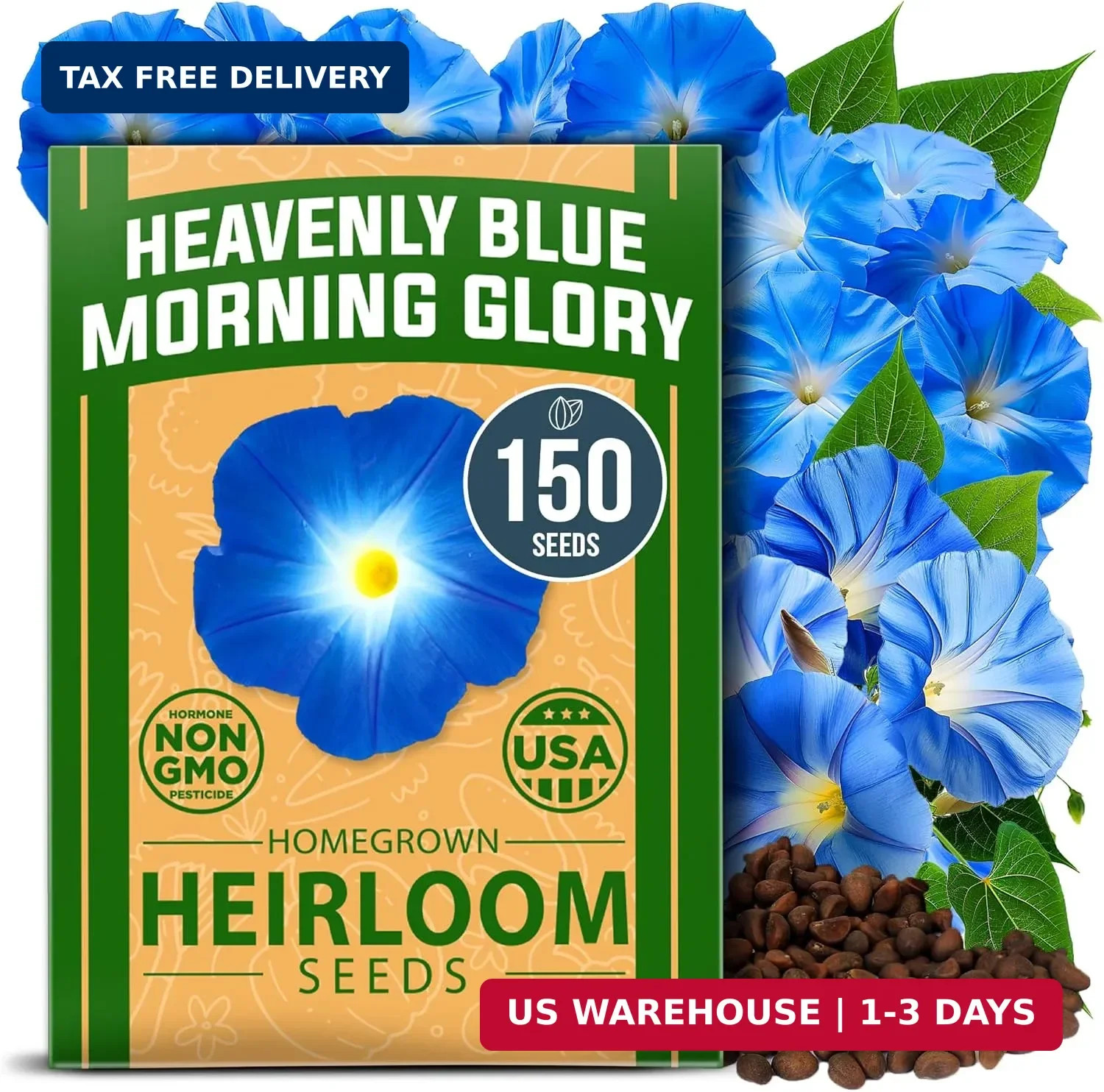 HOME GROWN Heavenly Blue Morning Glory – 150 Heirloom Seeds for Planting, Ideal