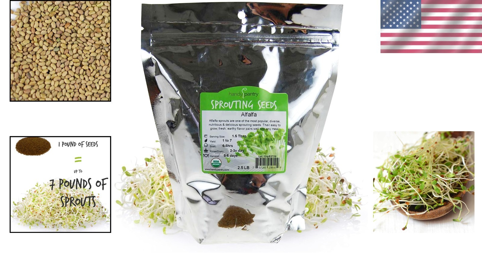 High Germination Organic Alfalfa Seeds – 2.5 lbs