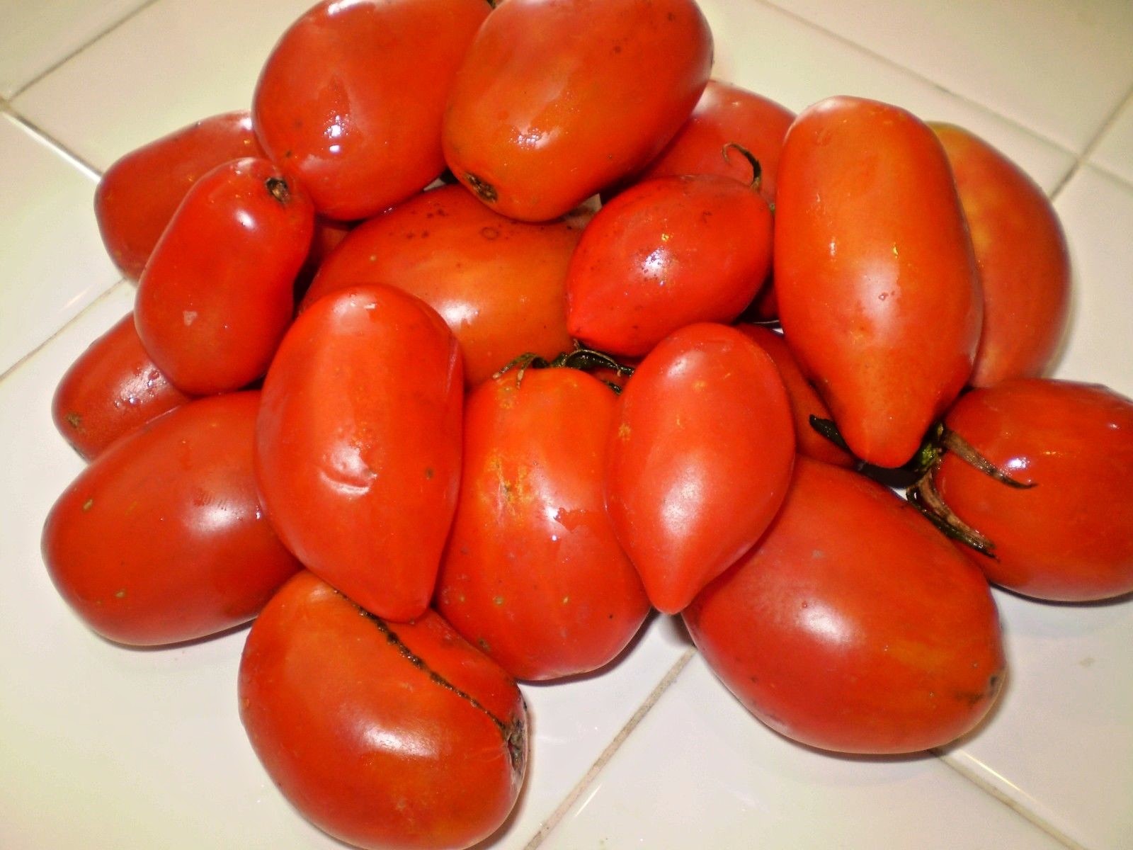 Schelske Family Heirloom RARE tomato seeds non-gmo heirloom open pollinated