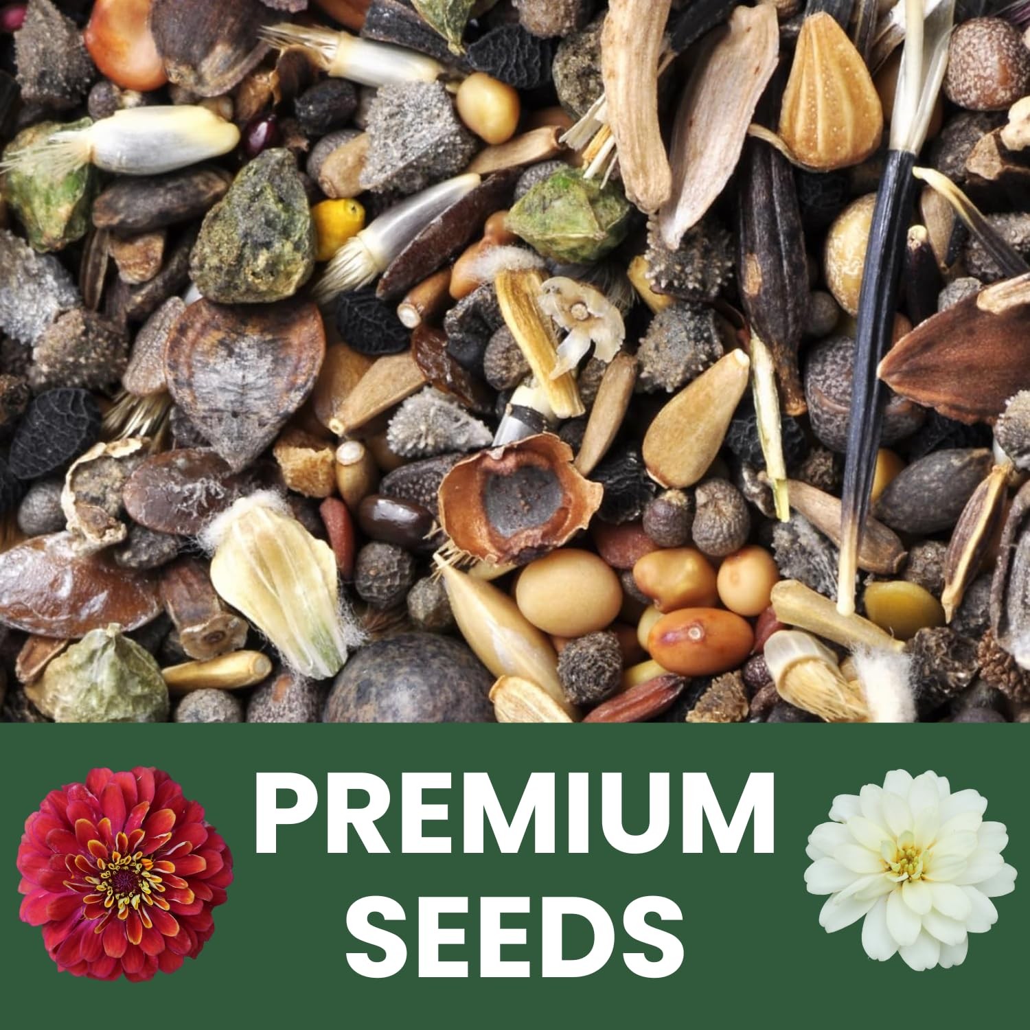 Zinnia Seeds Crazy Blend – 4,000 Vibrant Seeds – 1 Ounce Pouch – Easy to Grow