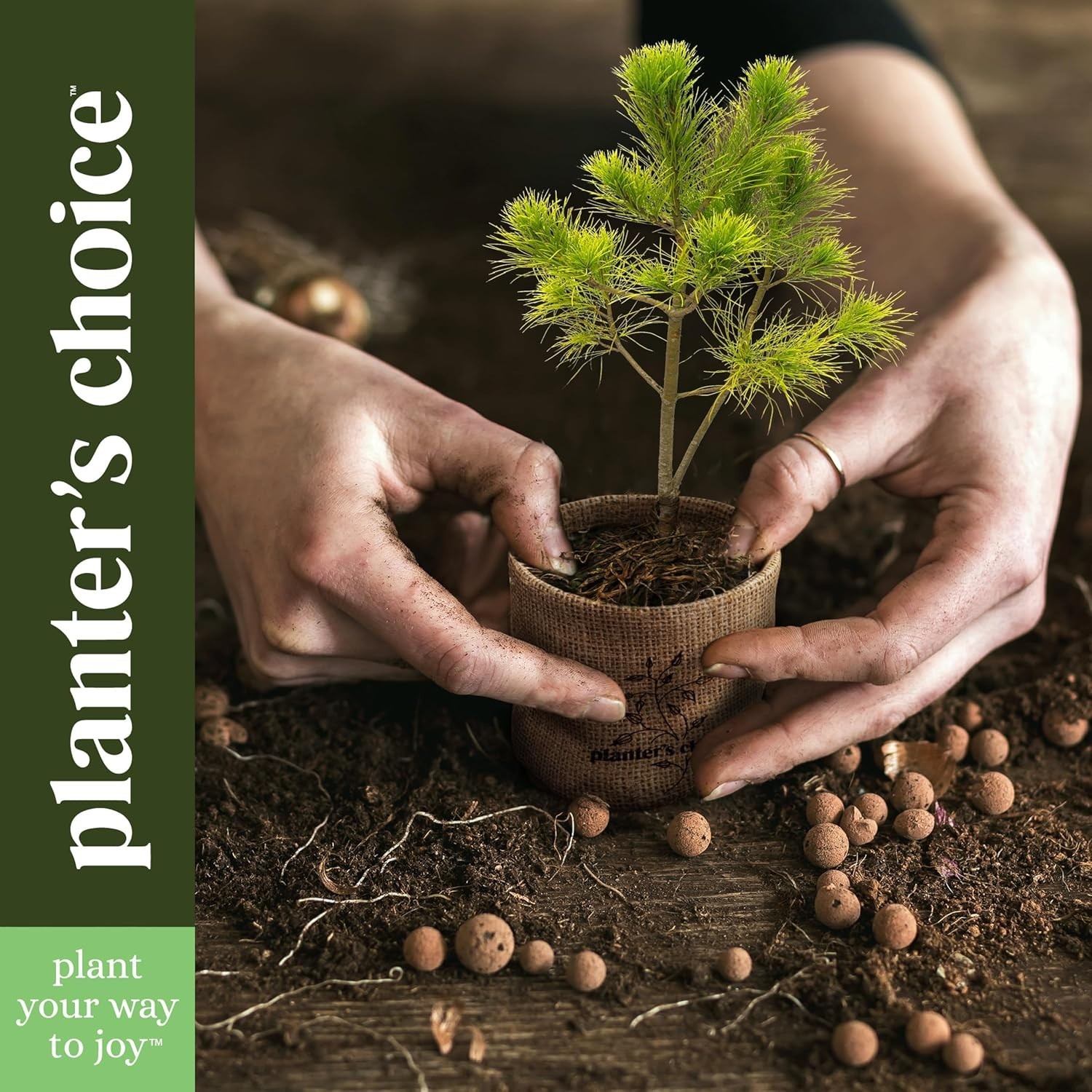 Planter’s Choice Bonsai Starter Kit – 5 Unique Seed Varieties for All Ages