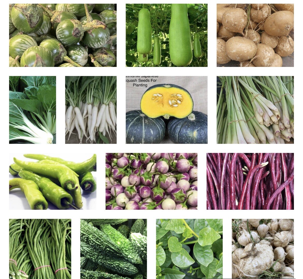 NON GMO. 20 Packets Variety-Asian Vegetable SEEDS for Planting.See Description