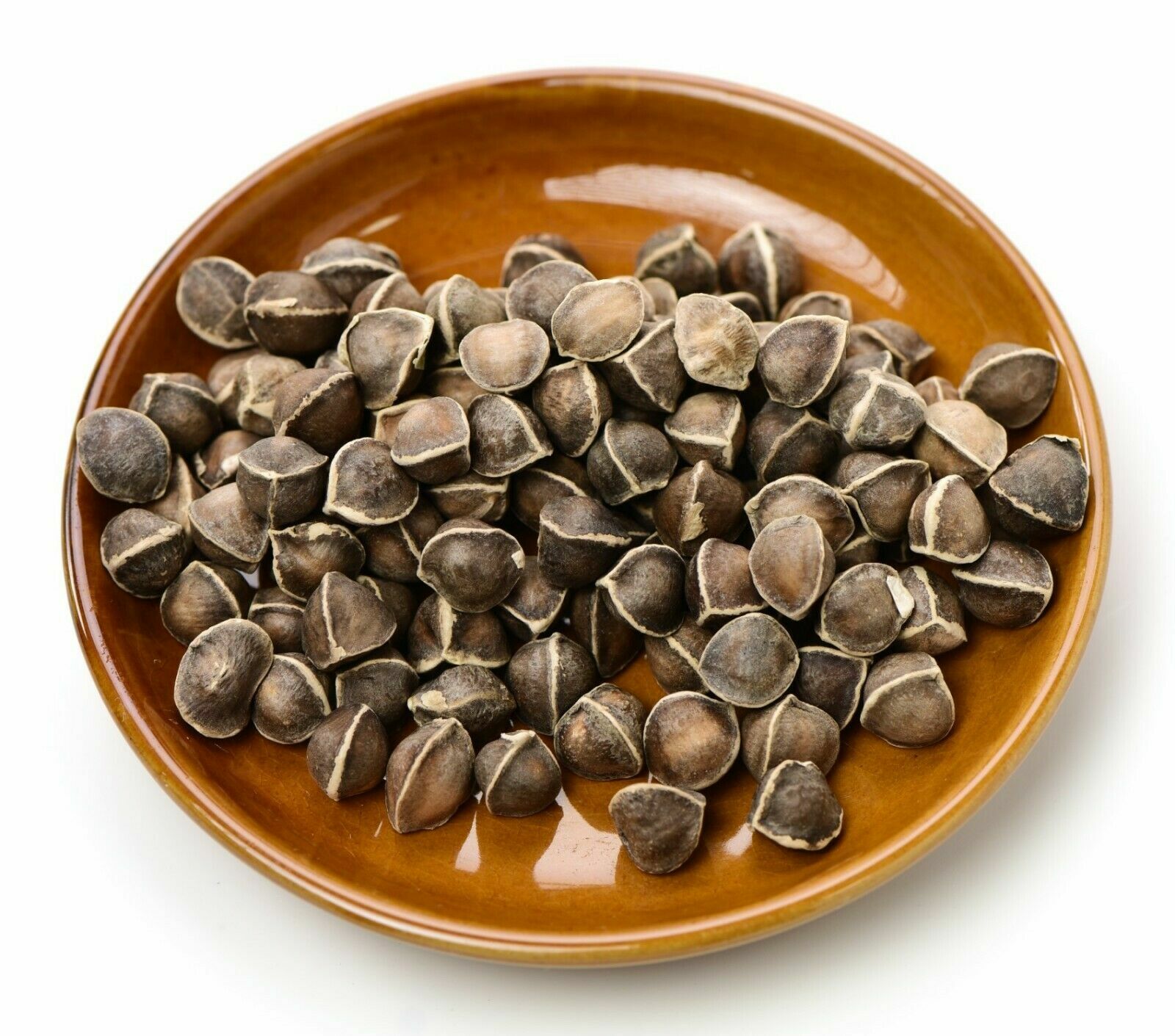 1000 Moringa Oleifera Seeds 10oz WINGLESS Fresh Organic Semillas de Moringa Tree