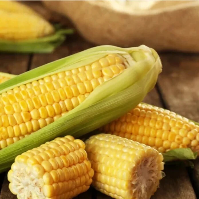 50pcs Golden Bantam Corn Heirloom Seeds – Non-GMO, Open-Pollinated, Sweet