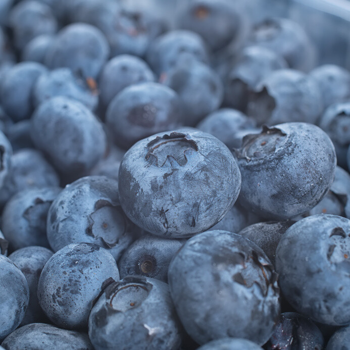 Blueberry plants- 19+ Varieties- State Lab tested to be free of diseases & virus