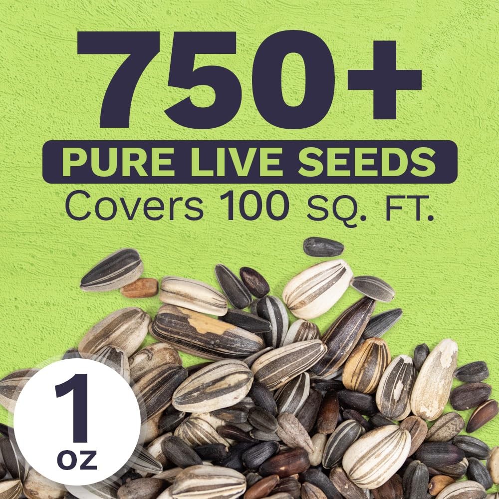 Bulk Sunflower Seed Mix 10 Open Pollinated Varieties, 1 Ounce Packet
