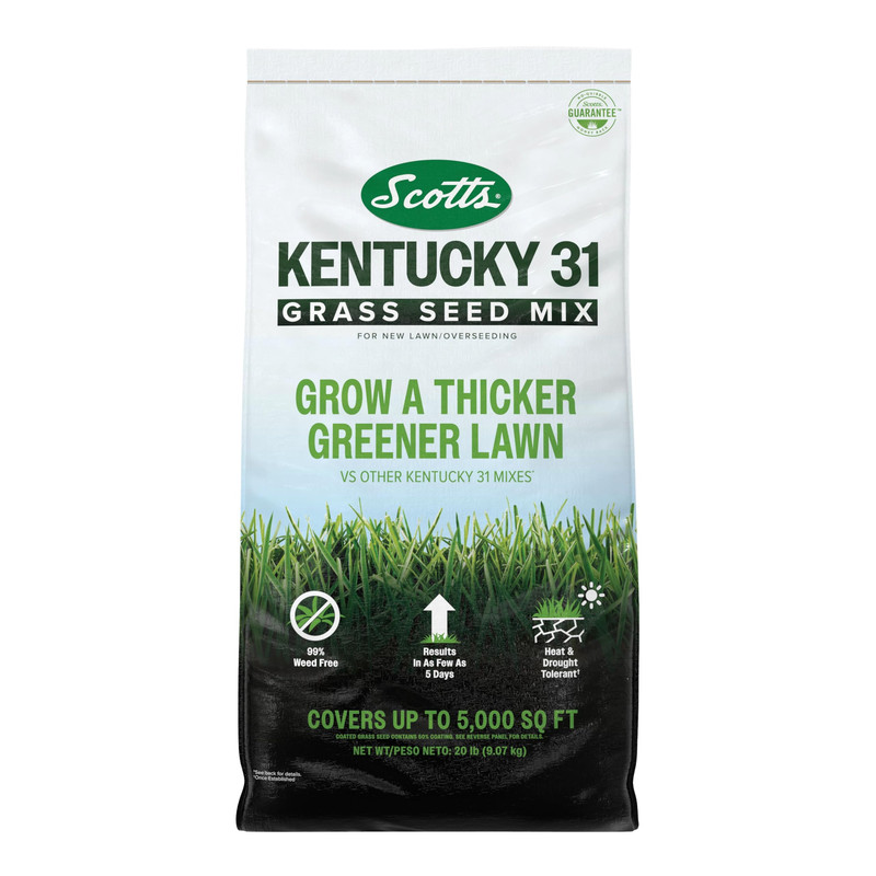 Scotts Kentucky 31 Grass Seed Mix For Lawns Or Overseeding Grows Thicker And