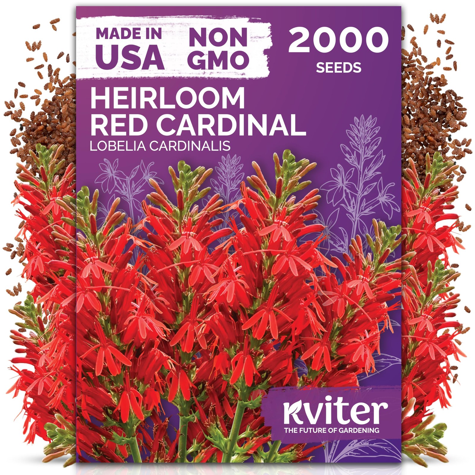 KVITER 2000 Red Cardinal Flower Seeds (Lobelia cardinalis) – Lobelia