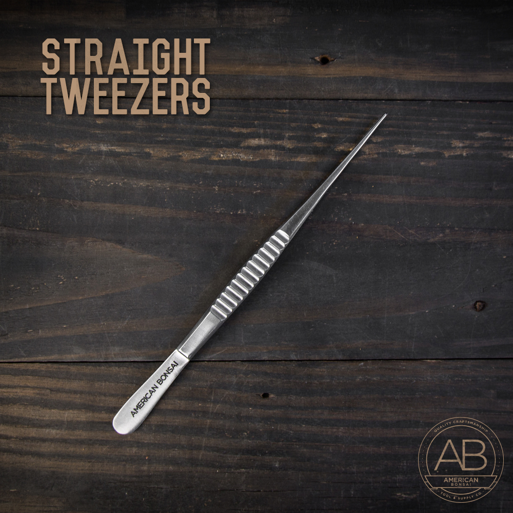 American Bonsai Stainless Steel STRAIGHT Tweezers