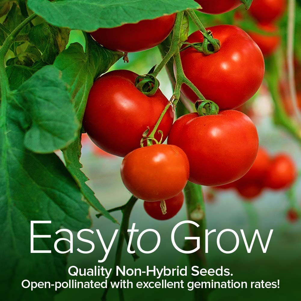Tomato Growing Kit – Grow 8 Varieties of Delicious Red, Yellow, Purple, Green