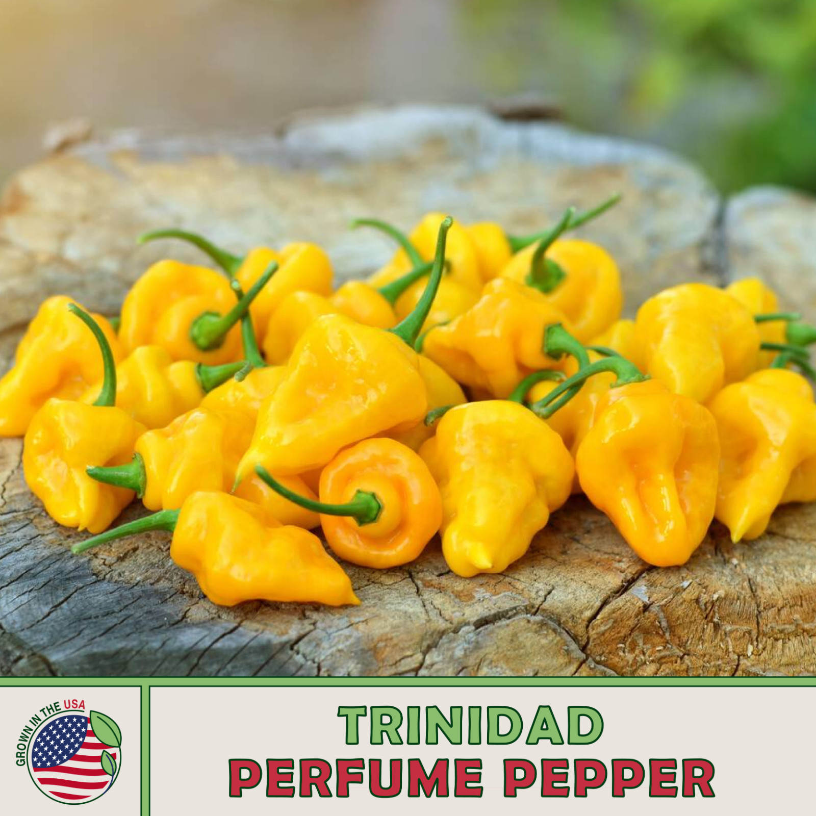10 Trinidad Perfume Pepper Seeds Rare Caribbean Seasoning Pepper Yellow