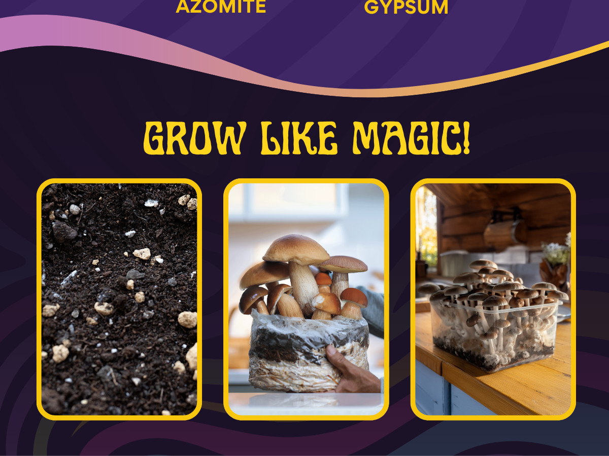 8 LB Monotub Refill Kit | Incl: 3 LB Sterilized Milo Grain Spawn & 5 LB CVG Sub