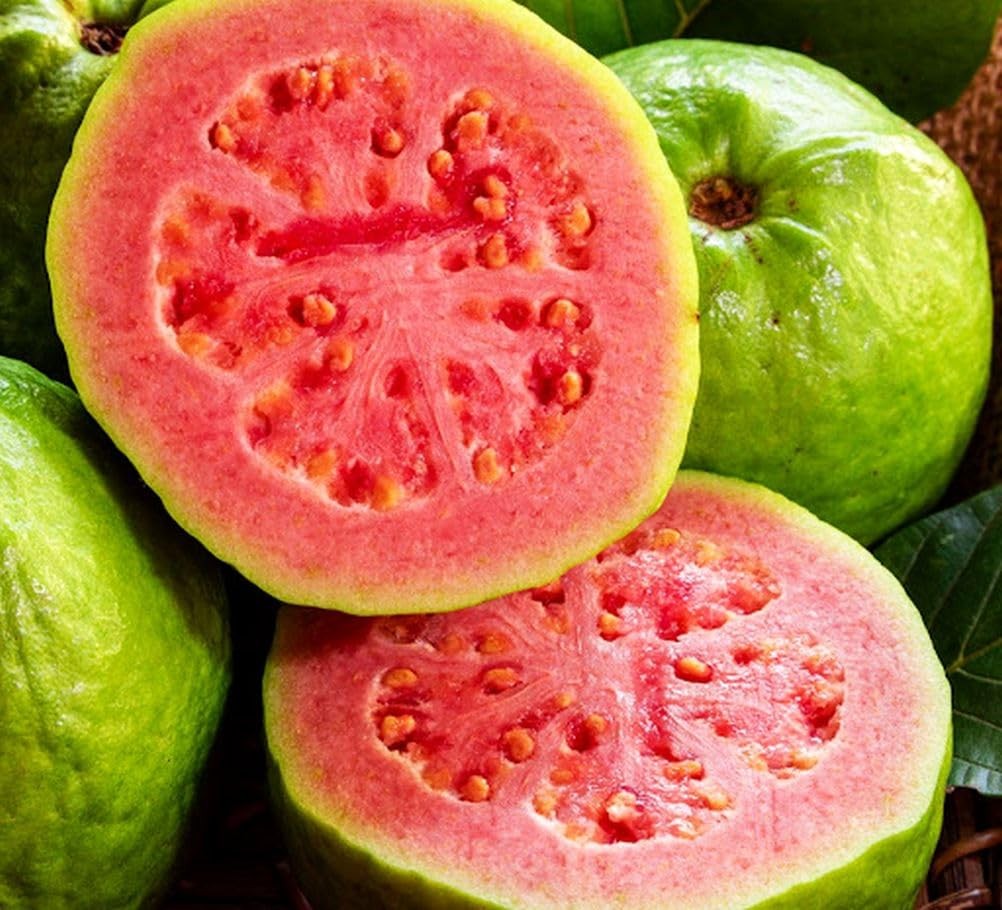 50pcs Tropical Strawberry Guava Pink Seeds – Exotic Flavor Medley green