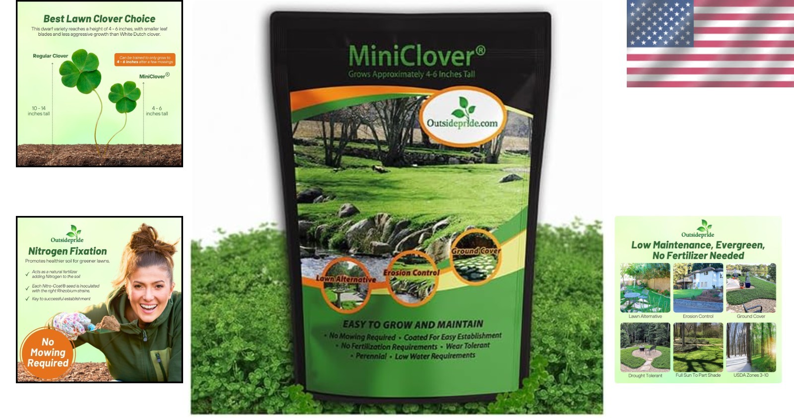 1/4 lb. MiniClover Seed – Natural, Drought-Tolerant Ground Cover Solution