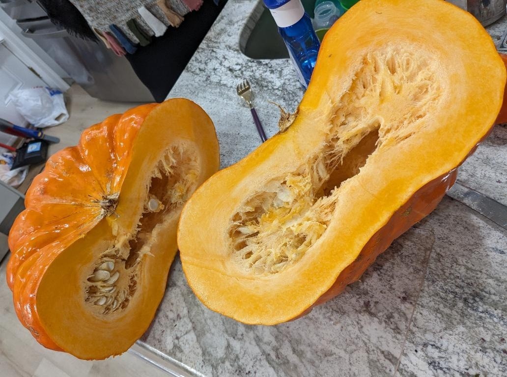 Pumpkin Cinderella 10 – 100 – 500 Seeds Rouge Vif D Estampes Pumpkin Pie