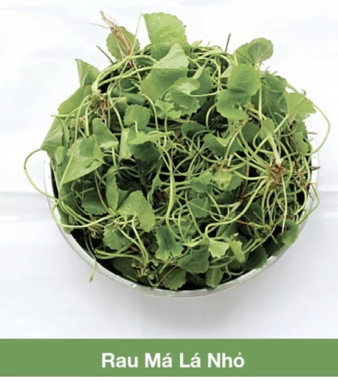 Pennywort Seeds, Gotu Kola , Centella asiatica, Rau Ma seeds 350 Seeds