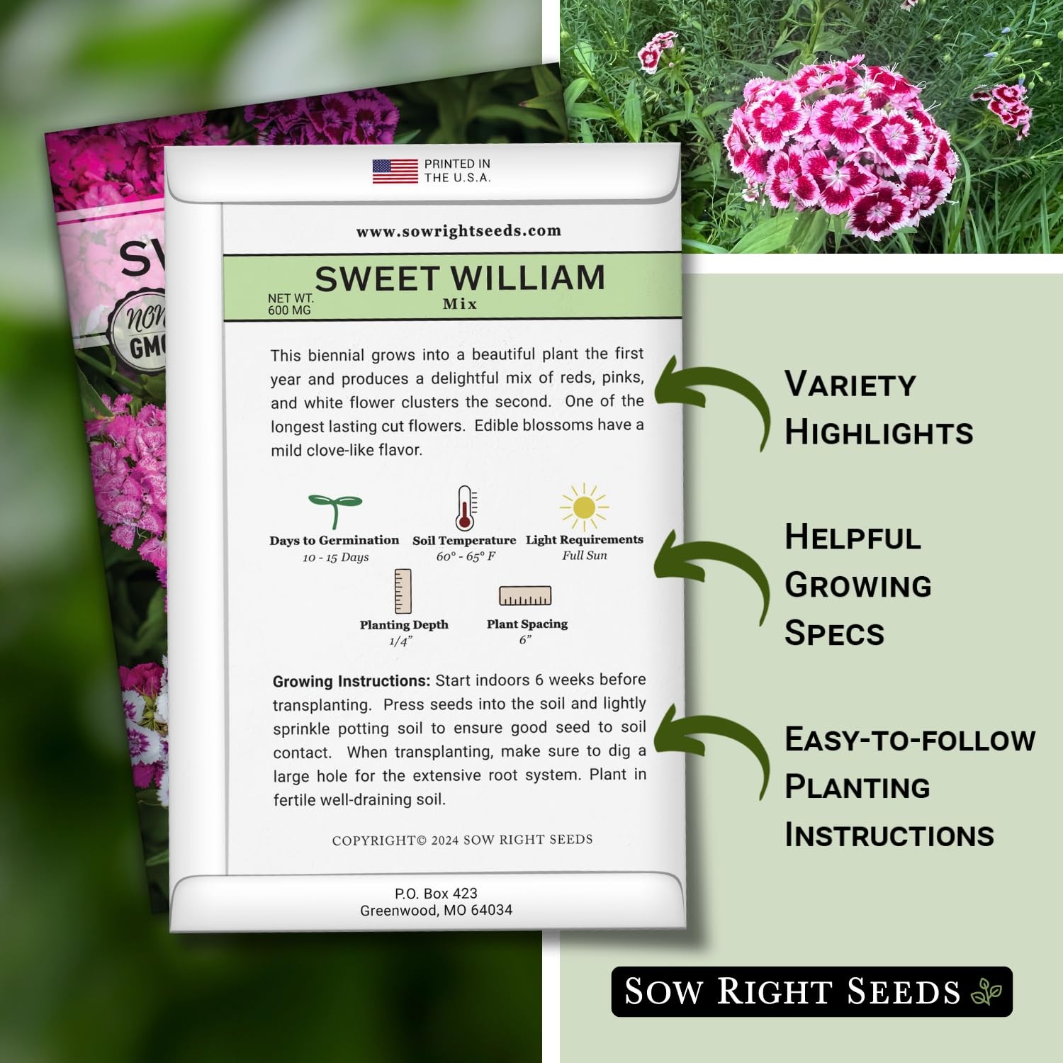 Sow Right Seeds – Sweet William Mix Flower Seeds for Planting – Beautiful and Ed
