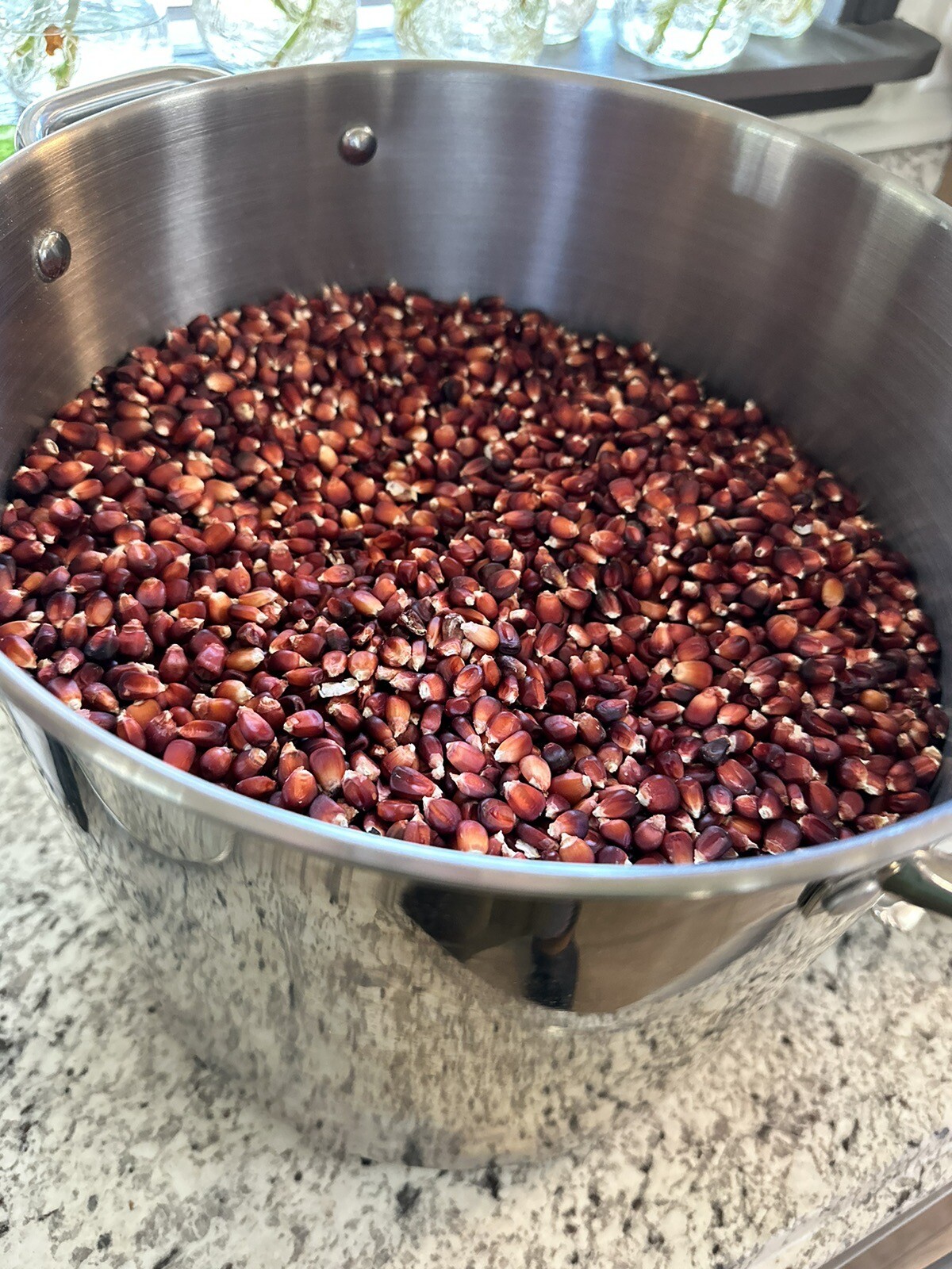 2 Oz Bloody Butcher Red Ornamental Dent Corn Seeds Milling No Pesticides