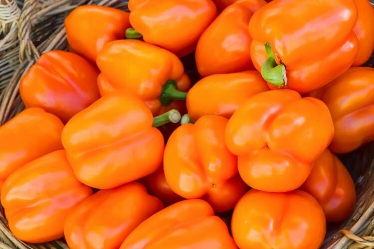 Bell Pepper Orange Sweet 15 Seeds Giant Vegetable Organic Heirloom Non GMO….